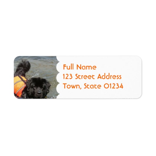 Newfie Water Rescue Mailing Label (Voorkant)