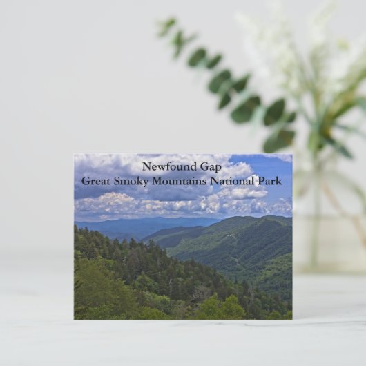 Newfound Gap, Great Smoky Mountains Briefkaart (Staand voorkant)