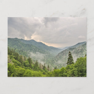 Newfound Gap, Great Smoky Mountains National Park Briefkaart