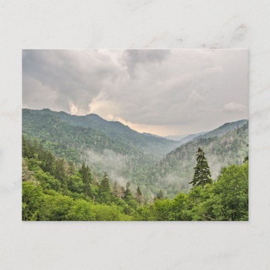 Newfound Gap, Great Smoky Mountains National Park Briefkaart (Voorkant)