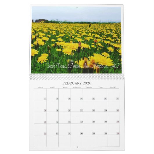 Newfoundland 2019-kalender kalender (Feb 2026)