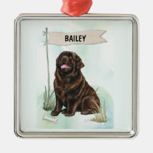 Newfoundland Aquarel Gepersonaliseerde Hond
