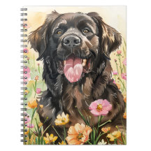 Newfoundland Aquarel Journaal