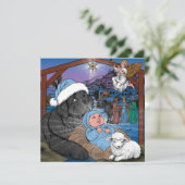 Newfoundland Baby Jezus Feestdagenkaart (Staand voorkant)