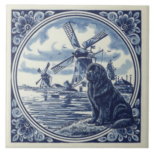 Newfoundland bij de Nederlandse windmolens Tegeltje