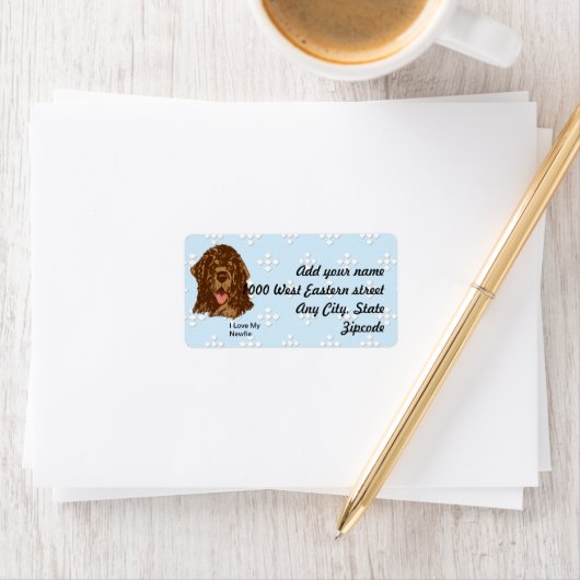 Newfoundland - Blauw met wit diamantontwerp Etiket (Insitu)