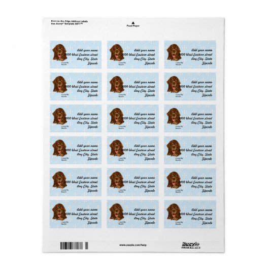 Newfoundland - Blauw met wit diamantontwerp Etiket (Full Sheet)