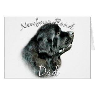 Newfoundland (blk) Papa 2
