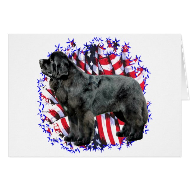 Newfoundland (BLK) Patriot (Voorkant Horizontaal)