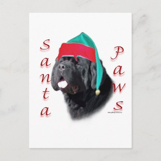 Newfoundland (blk) Santa Paws Feestdagenkaart (Voorkant)