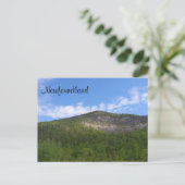 Newfoundland Briefkaart (Staand voorkant)