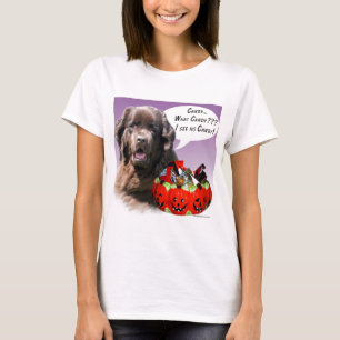 Newfoundland (bruin) Halloween Snoep T-shirt
