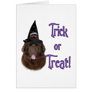 Newfoundland (bruin) Trick