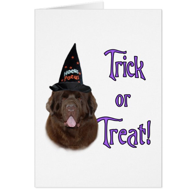 Newfoundland (bruin) Trick (Voorkant)