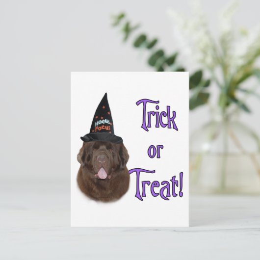 Newfoundland (bruin) Trick Briefkaart (Staand voorkant)