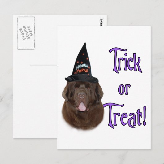 Newfoundland (bruin) Trick Briefkaart (Voorkant / Achterkant)