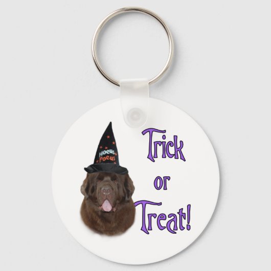 Newfoundland (bruin) Trick Sleutelhanger (Voorkant)