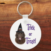 Newfoundland (bruin) Trick Sleutelhanger (Voorkant)