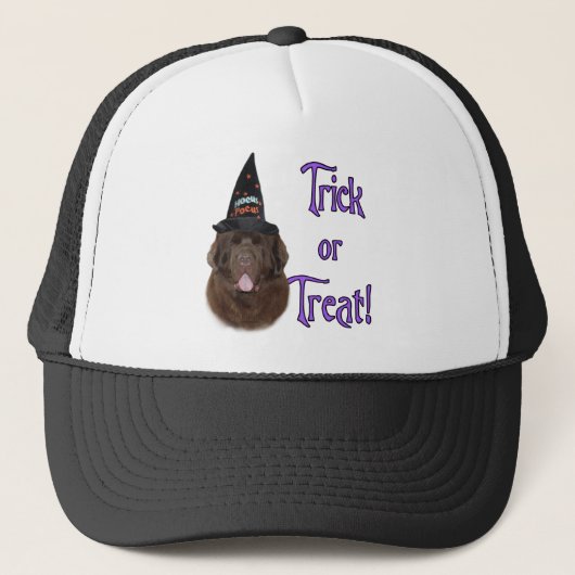 Newfoundland (bruin) Trick Trucker Pet (Voorkant)