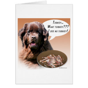 Newfoundland (bruin) Turkije