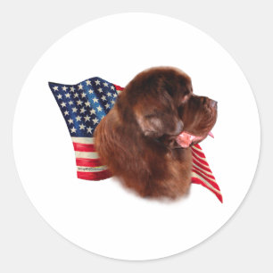 Newfoundland (bruin) Vlag Ronde Sticker