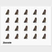 Newfoundland - bruin zit vierkante sticker (Vel)