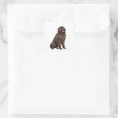 Newfoundland - bruin zit vierkante sticker (Tas)
