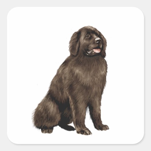 Newfoundland - bruin zit vierkante sticker (Voorkant)