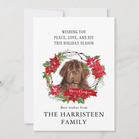 Newfoundland bruine Waterverf Poinsettia Kerst Feestdagenkaart (Voorkant)