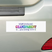 NEWFOUNDLAND BUMPERSTICKER (Op auto)