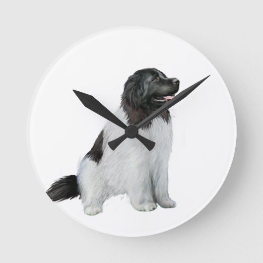 Newfoundland (C) - Landseer #1 Ronde Klok (Voorkant)