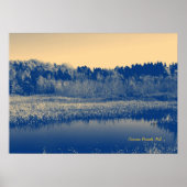 Newfoundland, Canada, Marshlands Trees en Water Poster (Voorkant)