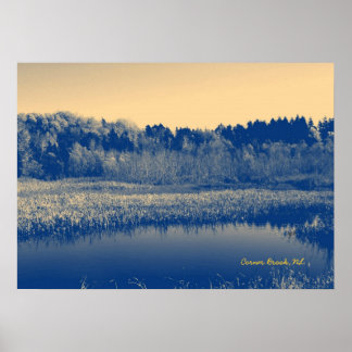Newfoundland, Canada, Marshlands Trees en Water Poster