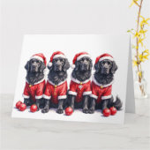 Newfoundland Christmas Dress Santa Hat Kaart (Gele Bloem)