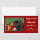 Newfoundland Dog Animal Christmas Holiday Kaart (Voorkant / Achterkant)