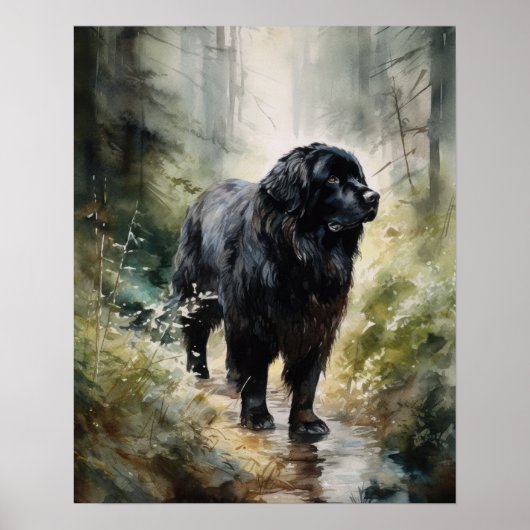 Newfoundland Dog Art Print Poster (Voorkant)