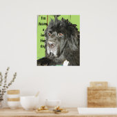 Newfoundland Dog Bad Hair Day poster (Keuken)