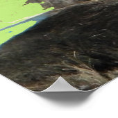 Newfoundland Dog Bad Hair Day poster (Hoek)