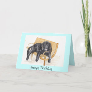 Newfoundland Dog Birthday Card Kaart