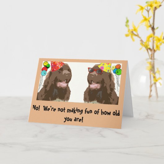 Newfoundland Dog Birthday humor Kaart (Gele Bloem)