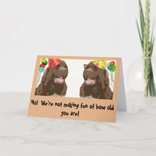 Newfoundland Dog Birthday humor Kaart (Voorkant)