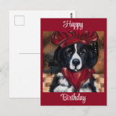 Newfoundland Dog Briefkaart (Voorkant / Achterkant)