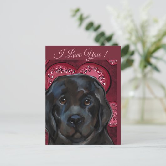 Newfoundland Dog Briefkaart (Staand voorkant)