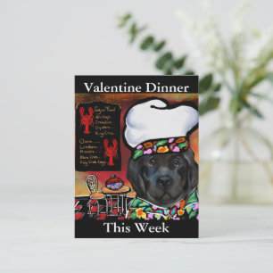 Newfoundland Dog Briefkaart