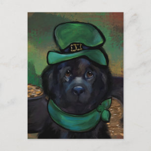 Newfoundland Dog Briefkaart