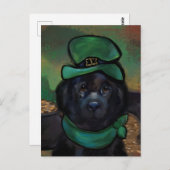 Newfoundland Dog Briefkaart (Voorkant / Achterkant)