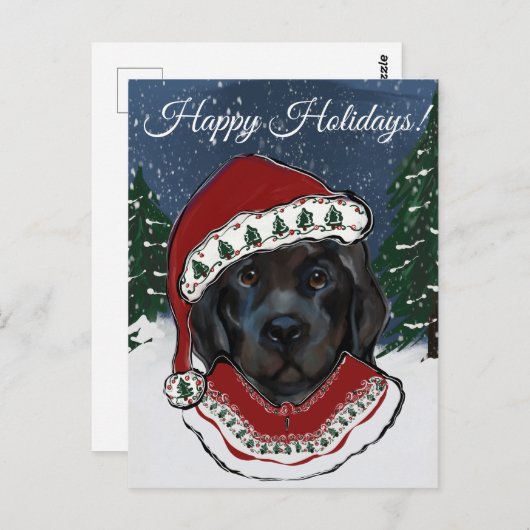 Newfoundland Dog Briefkaart (Voorkant / Achterkant)