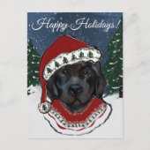 Newfoundland Dog Briefkaart (Voorkant)