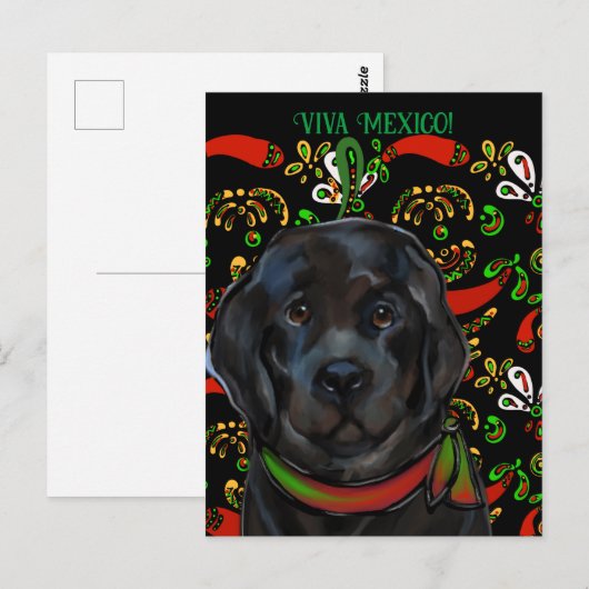 Newfoundland Dog Briefkaart (Voorkant / Achterkant)