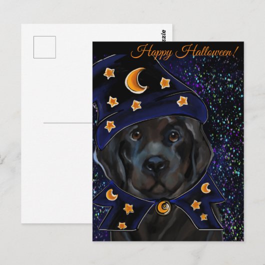 Newfoundland Dog Briefkaart (Voorkant / Achterkant)
